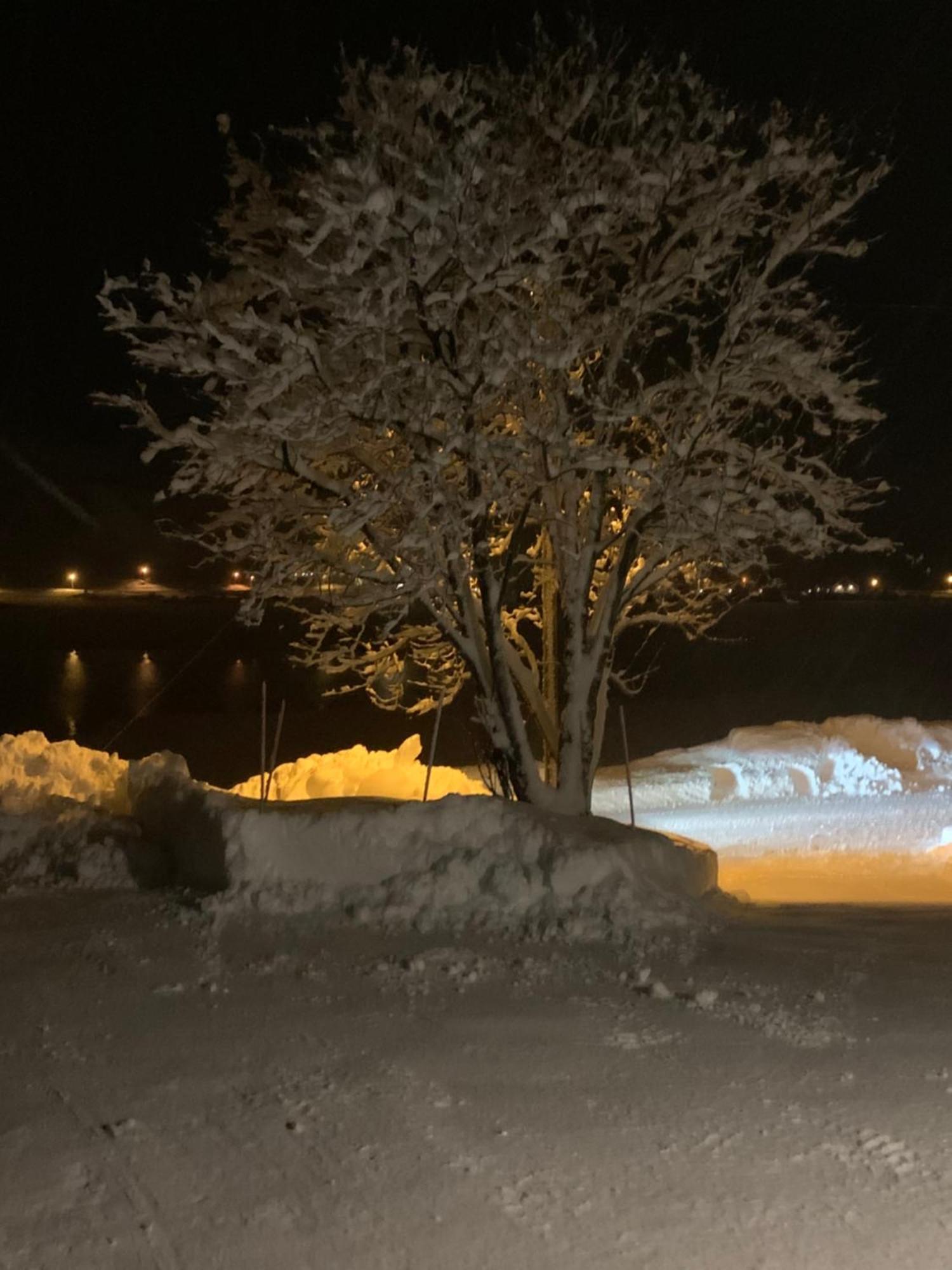 Liten Leilighet Inkludert Frokost Valberg Экстерьер фото